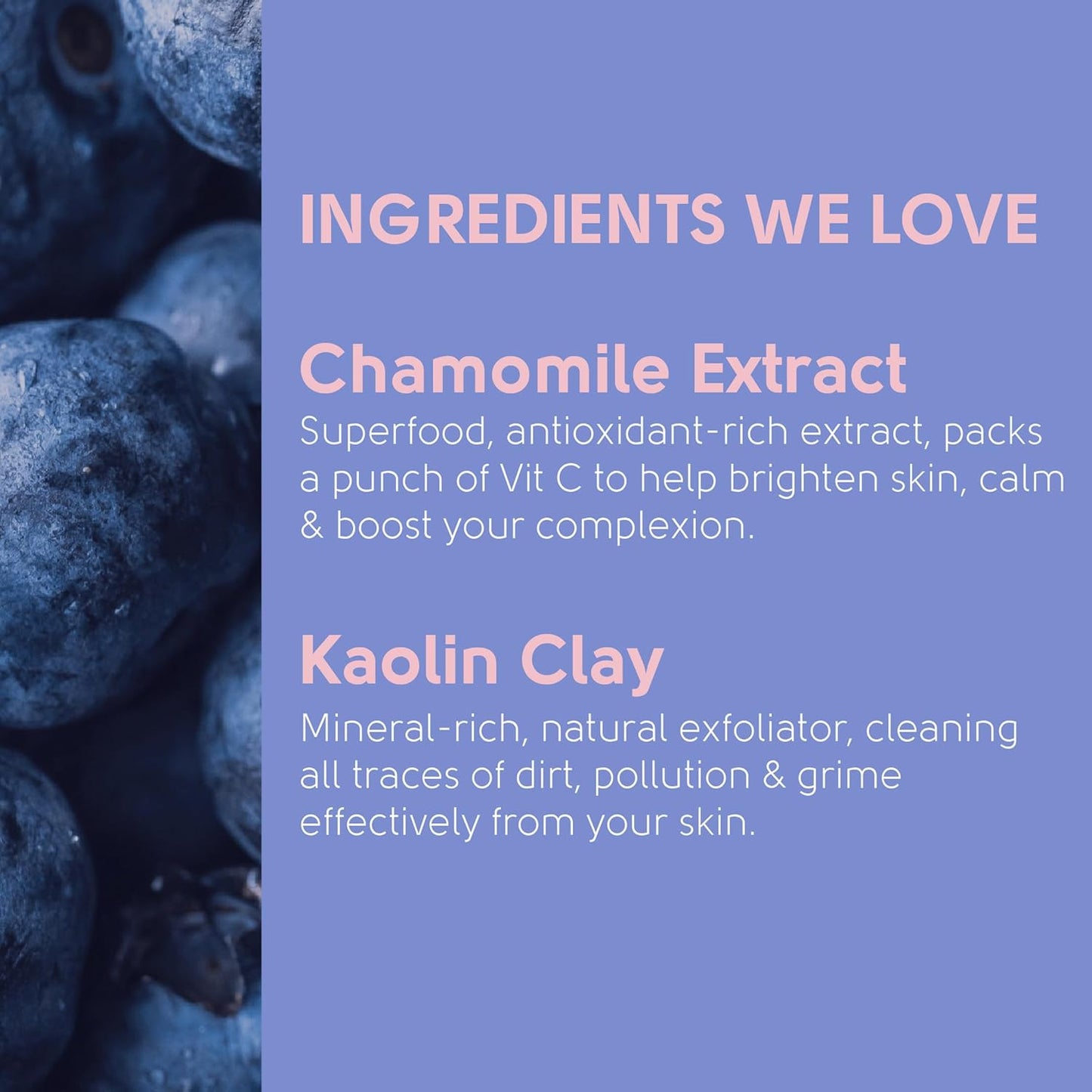Antioxidant Blueberry Kaolin Clay Face Mask | Brightens + Nourishes | Vegan