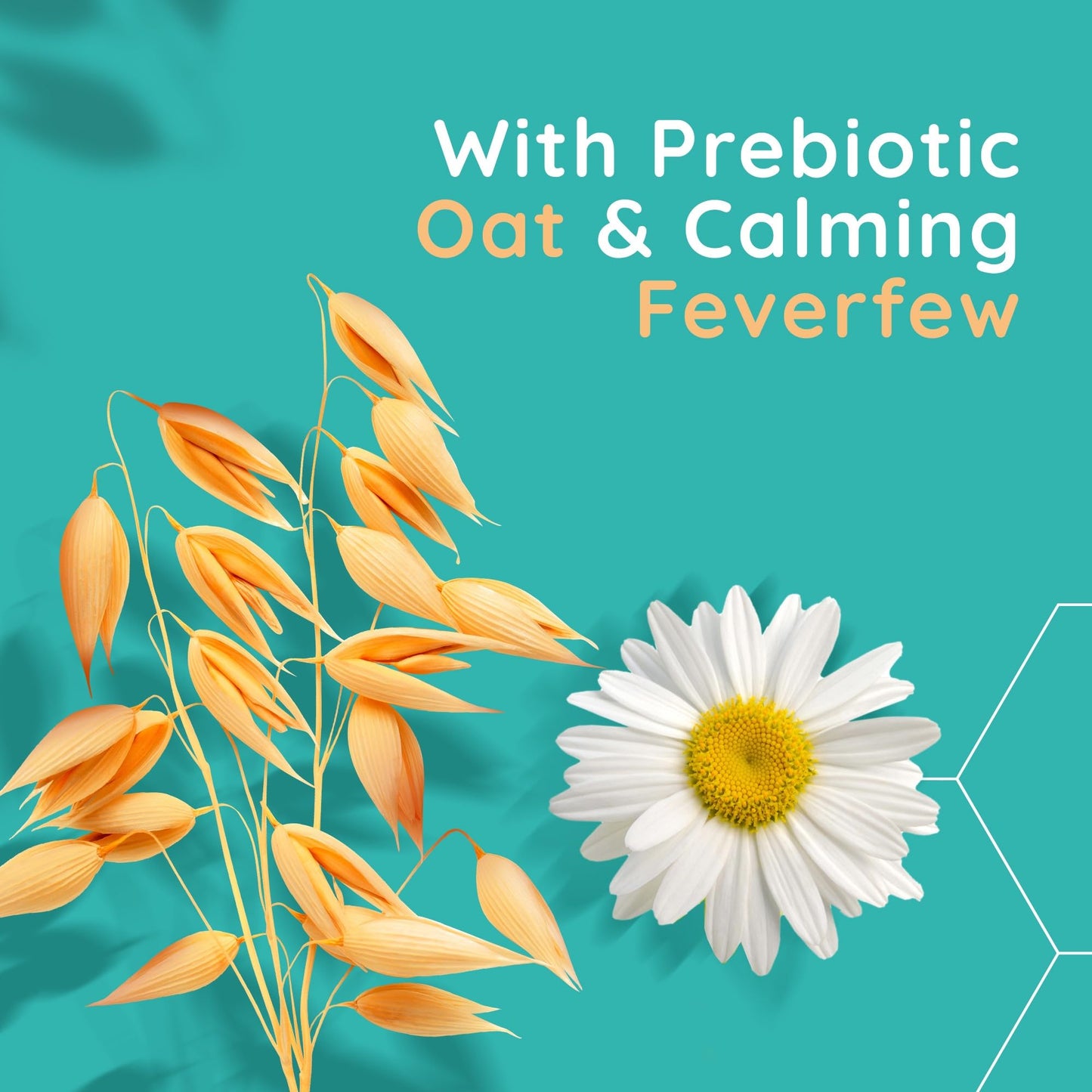 Face Calm+Restore Nourishing Oat Cleanser