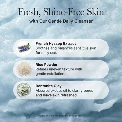 Arencia Korean Rice Mochi Face Cleanser