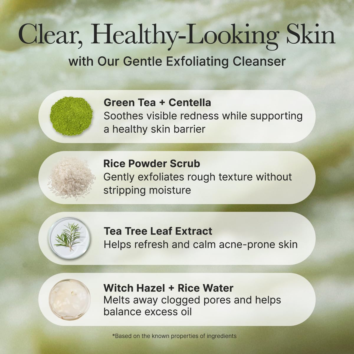 Arencia Korean Rice Mochi Face Cleanser