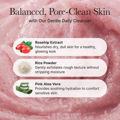 Arencia Korean Rice Mochi Face Cleanser